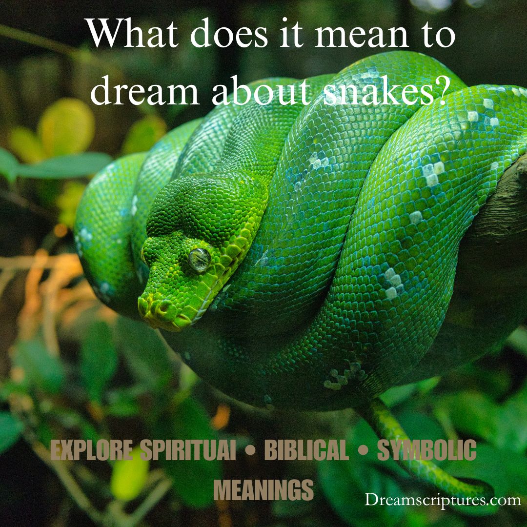 Symbolic representation of Snakes in dreams